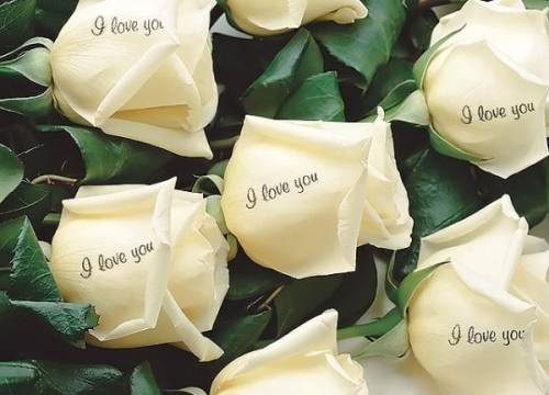 I love you с белыми розами