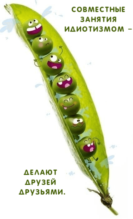 Совместные занятия идиотизмом