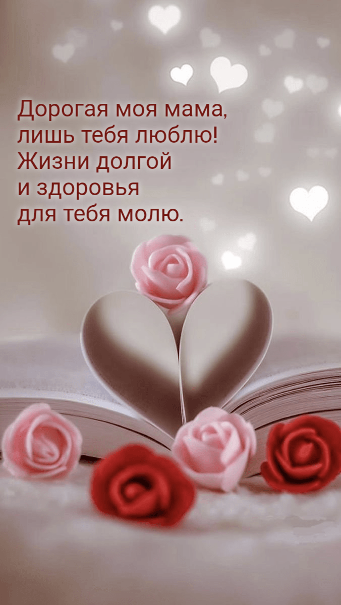 Дорогая моя мама,  лишь тебя люблю!