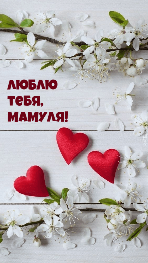 Люблю  тебя, Мамуля!
