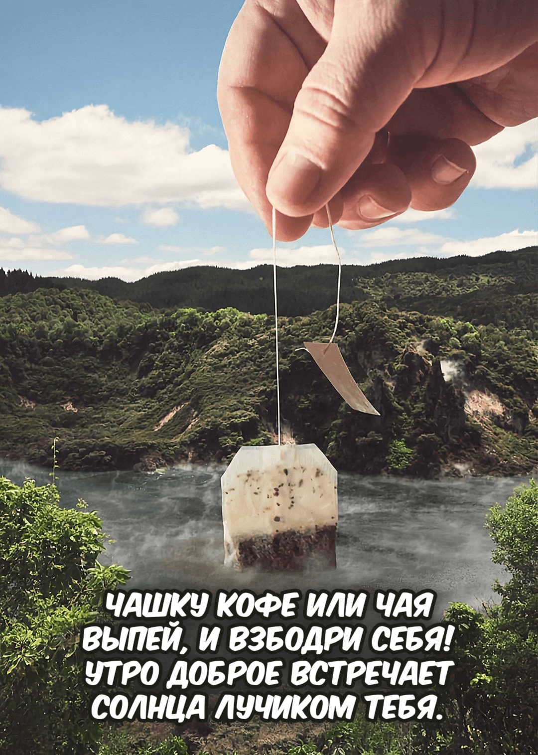 Чашку кофе или чая Выпей, и взбодри себя! Утро доброе встречает Солнца лучиком тебя.
