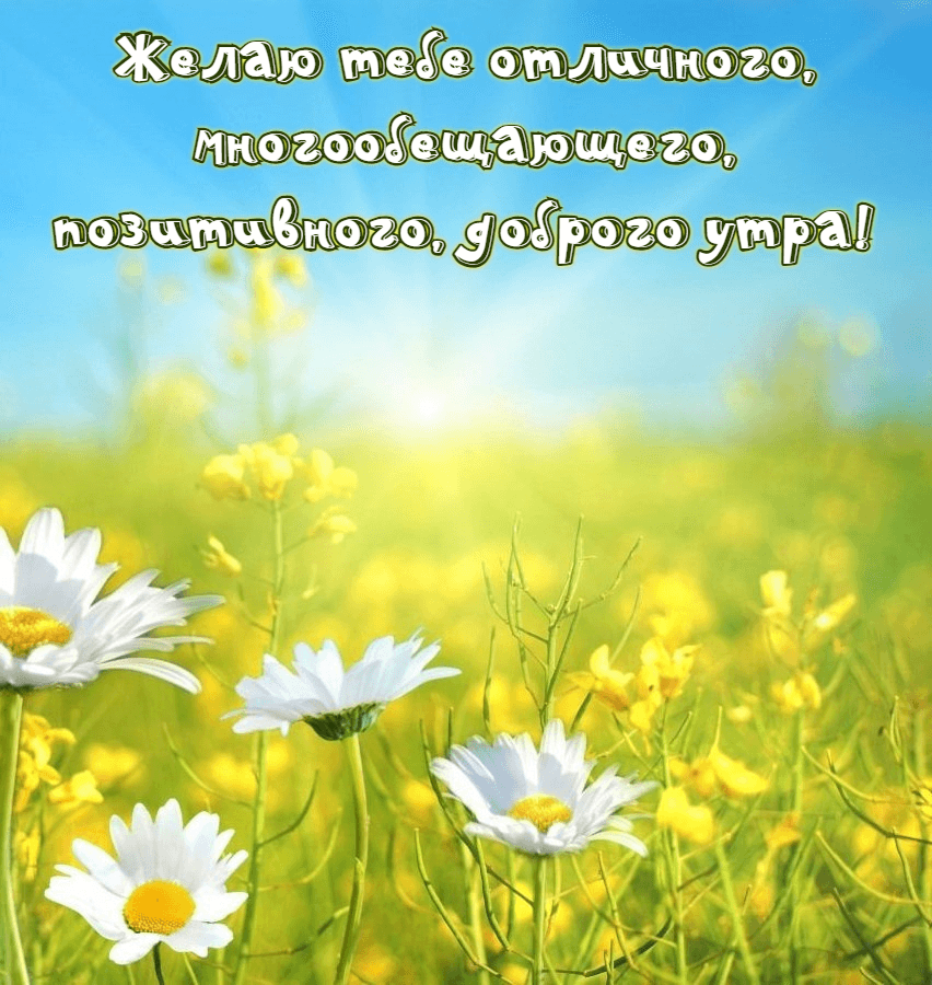 Желаю тебе отличного