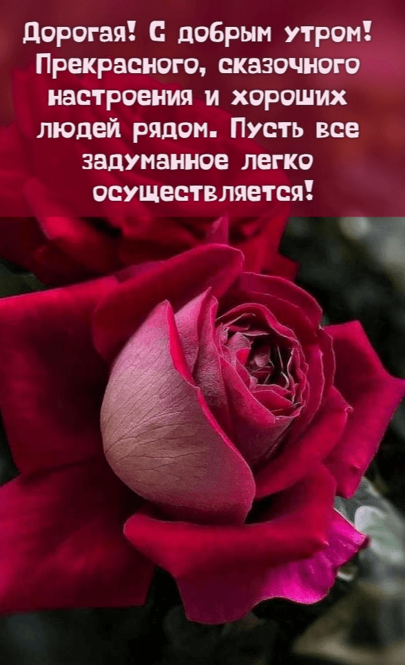 Прекрасного, сказочного настроения
