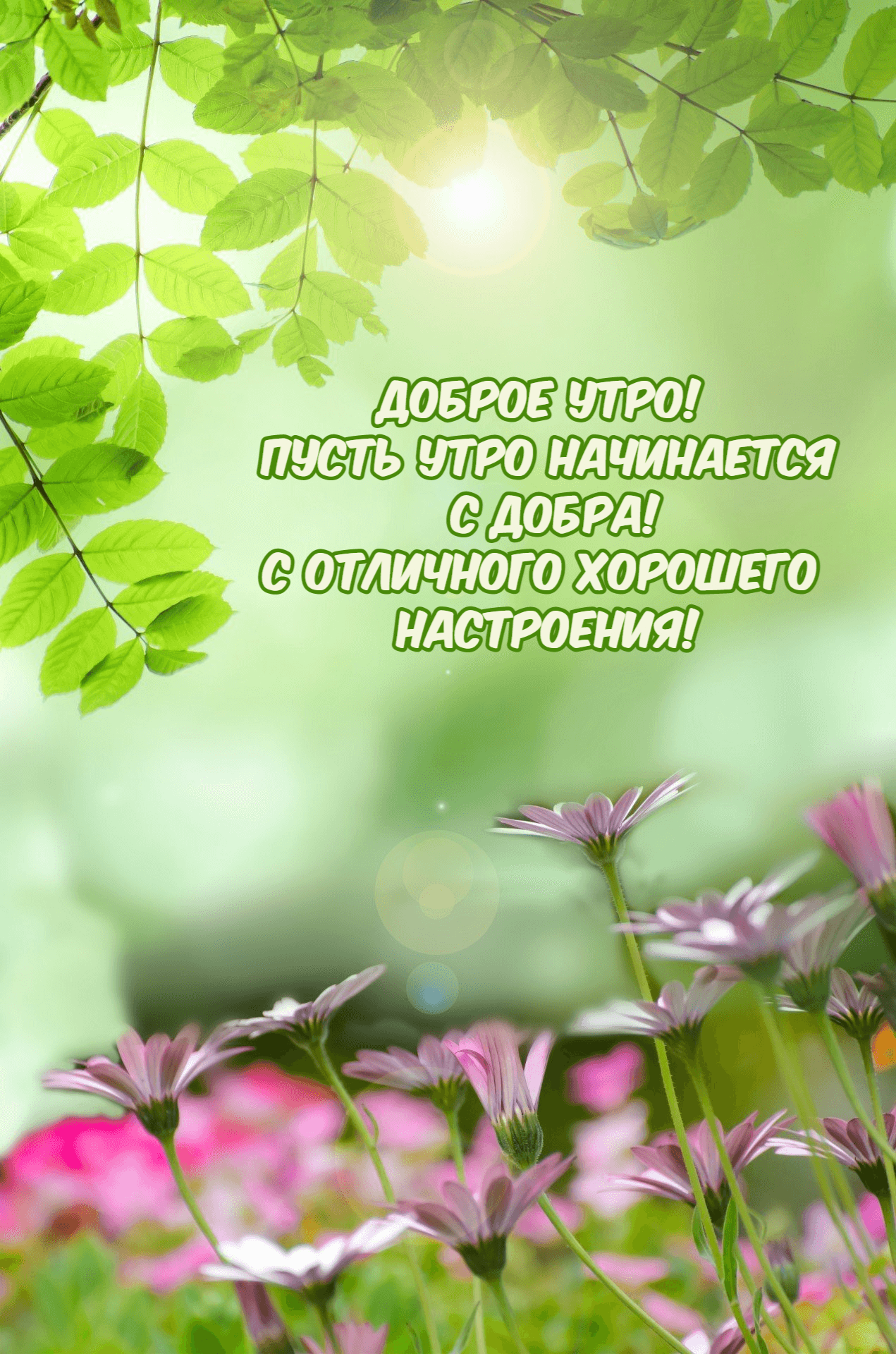 Пусть утро начинается с добра!