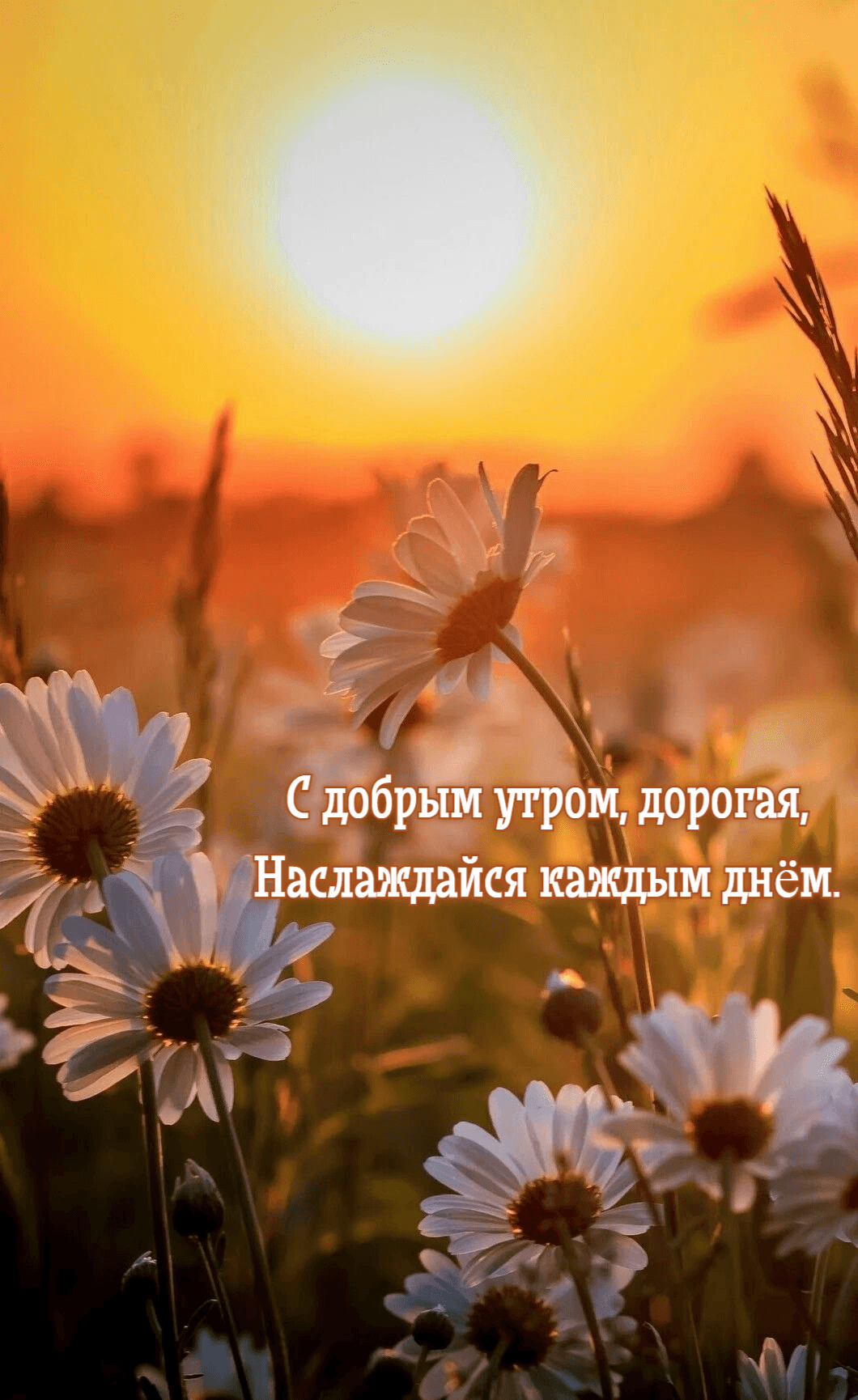 Наслаждайся каждым днём.