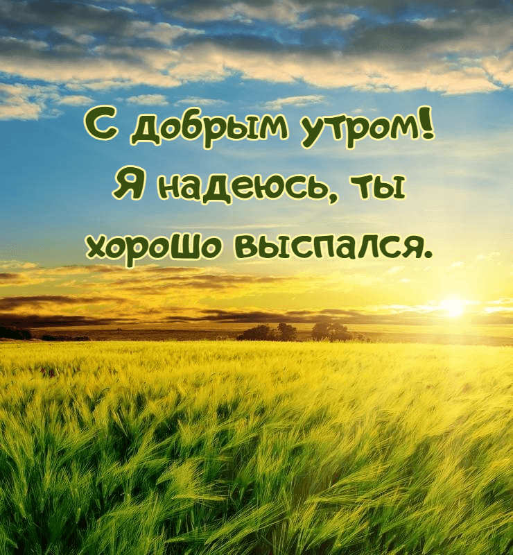 Я надеюсь, ты хорошо выспался.