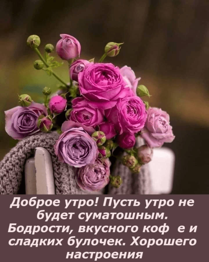 Пусть утро не будет суматошным
