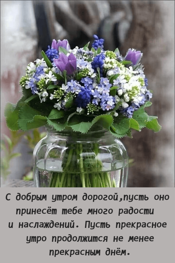 Пусть прекрасное  утро продолжится не менее  прекрасным днём.