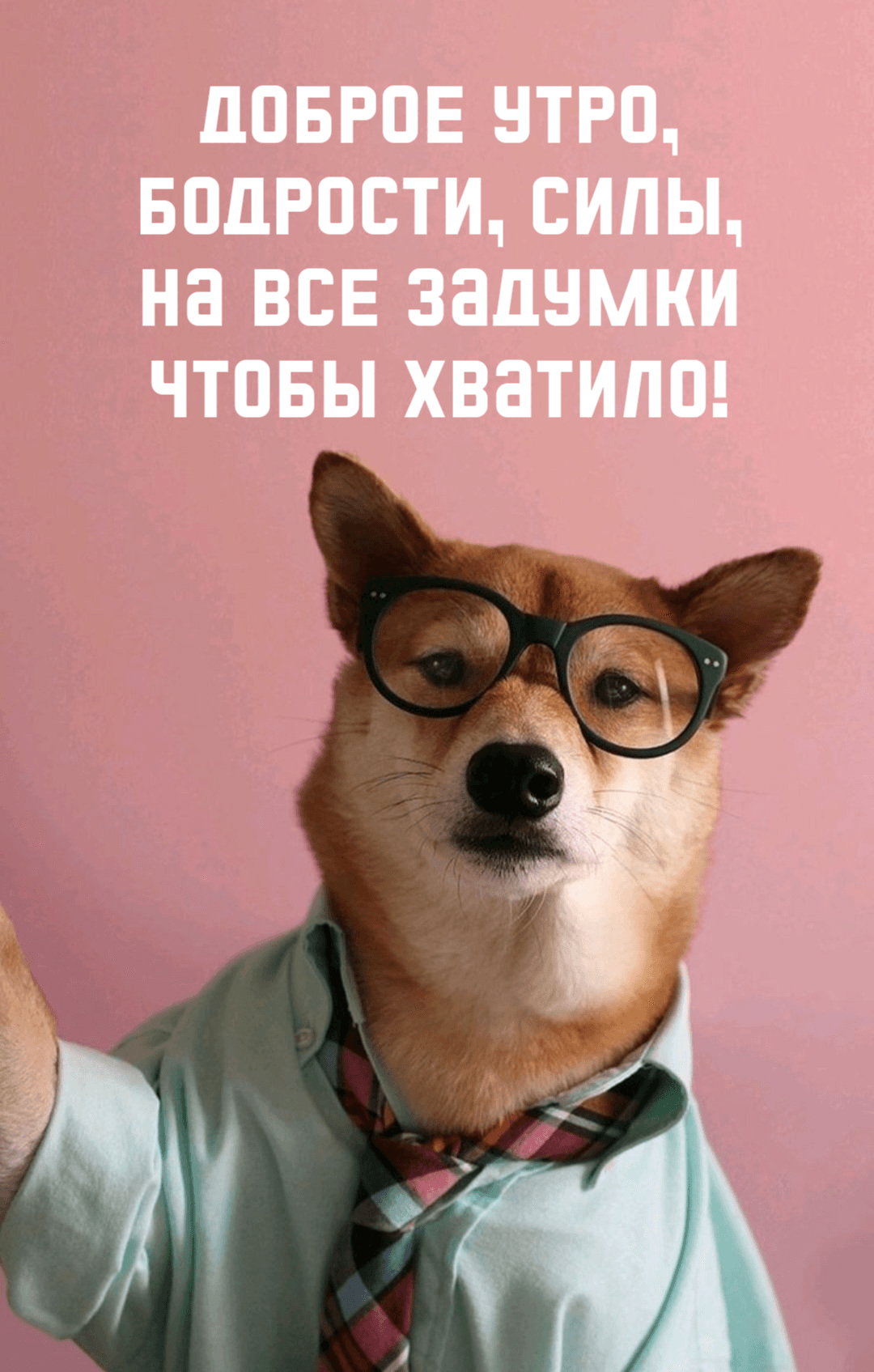 Доброе утро, Бодрости, силы, На все задумки Чтобы хватило!