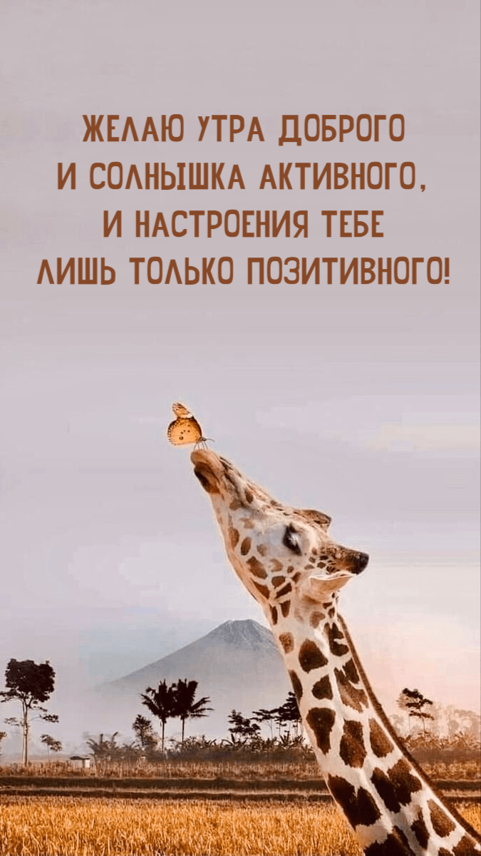 Желаю утра доброго И солнышка активного