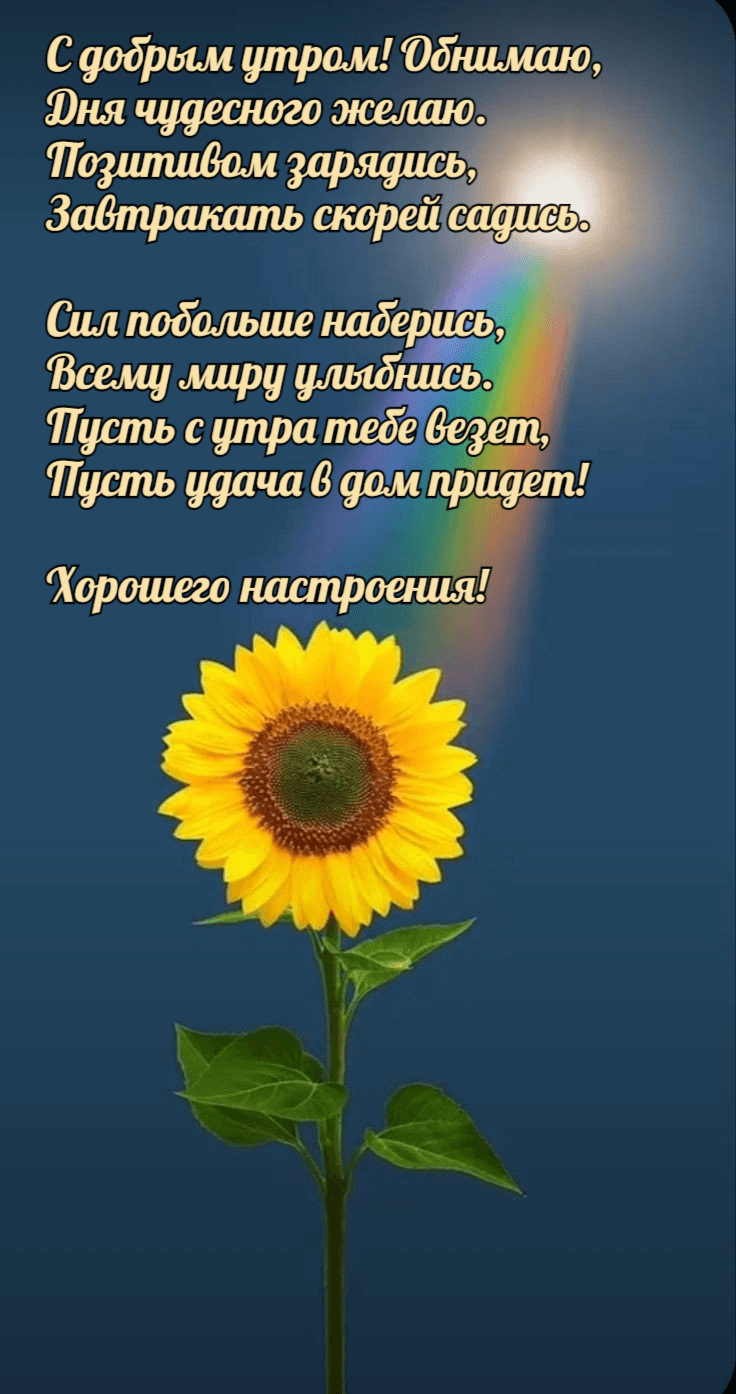 С добрым утром! Обнимаю, Дня чудесного желаю.