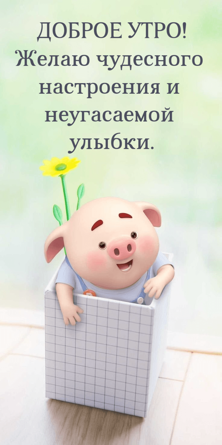 Желаю чудесного настроения и неугасаемой улыбки.