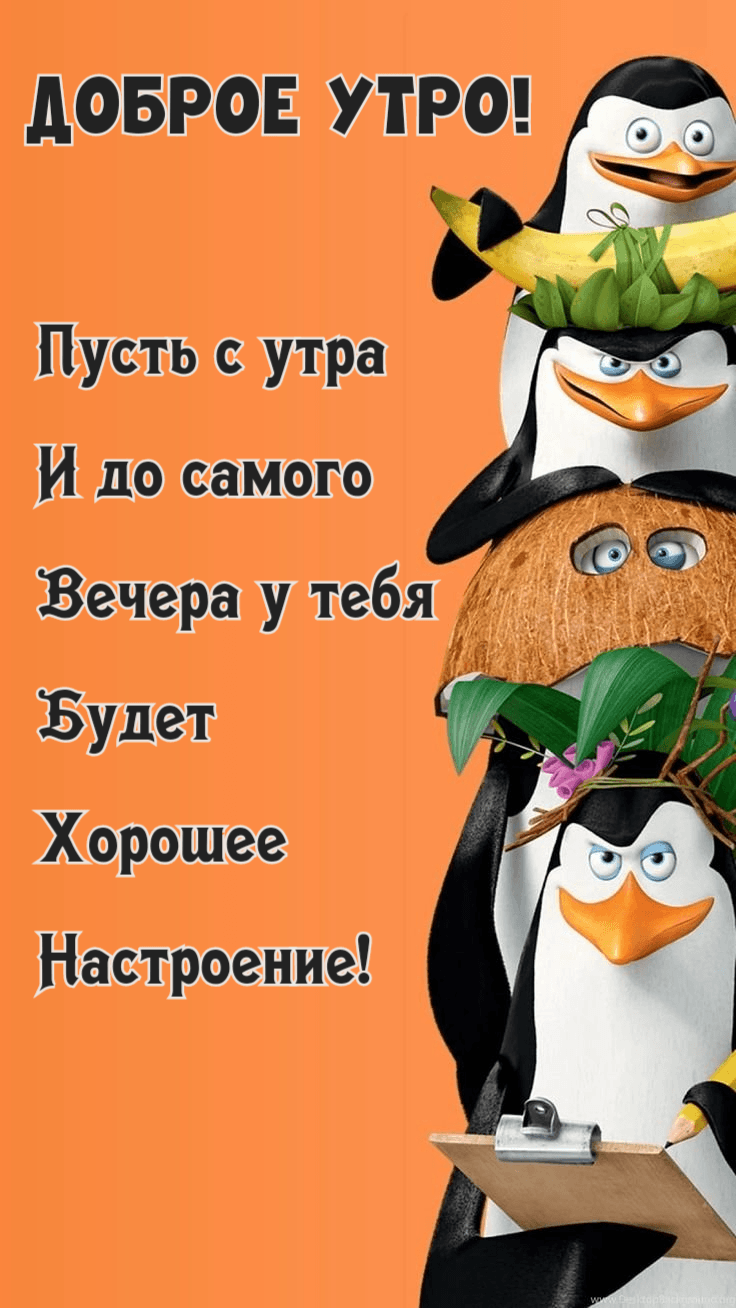Пусть с утра И до самого Вечера у тебя Будет Хорошее Настроение!