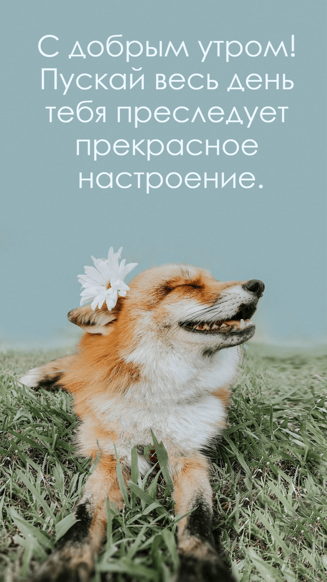 Пускай весь день тебя преследует