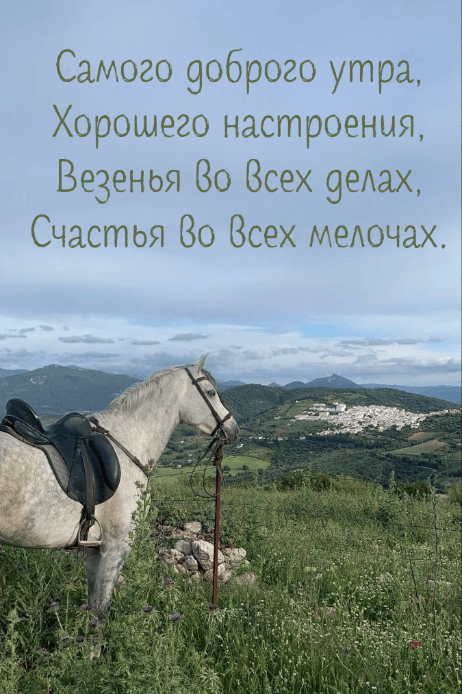Счастья во всех мелочах.