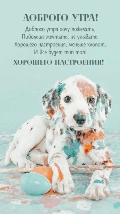 Доброго утра хочу пожелать, Побольше мечтать, не унывать