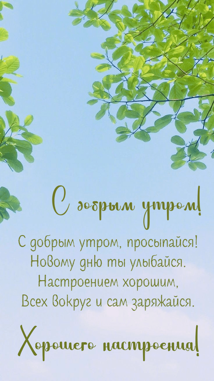 С добрым утром, просыпайся! Новому дню ты улыбайся