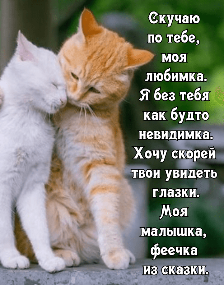 Скучаю по тебе, моя любимка.