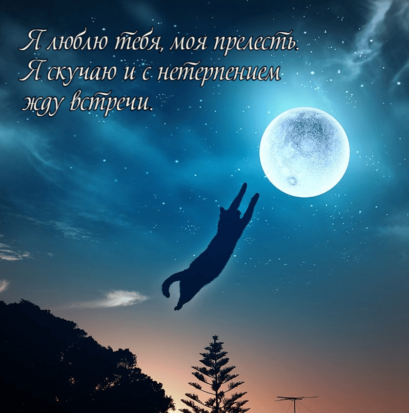 Я скучаю и с нетерпением жду встречи.