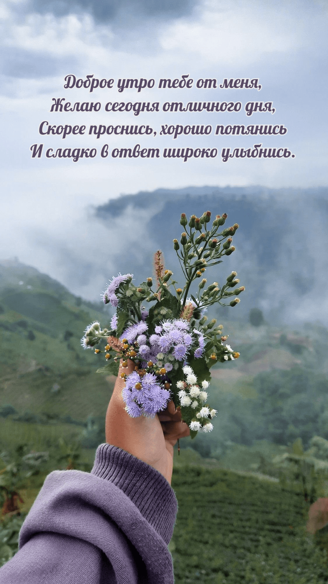 Доброе утро тебе от меня, Желаю сегодня отличного дня