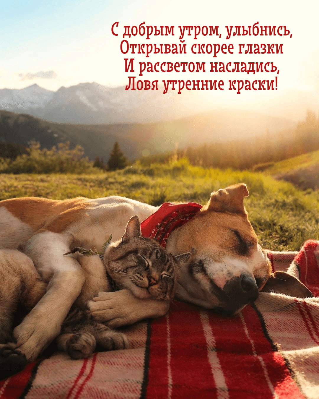 Открывай скорее глазки