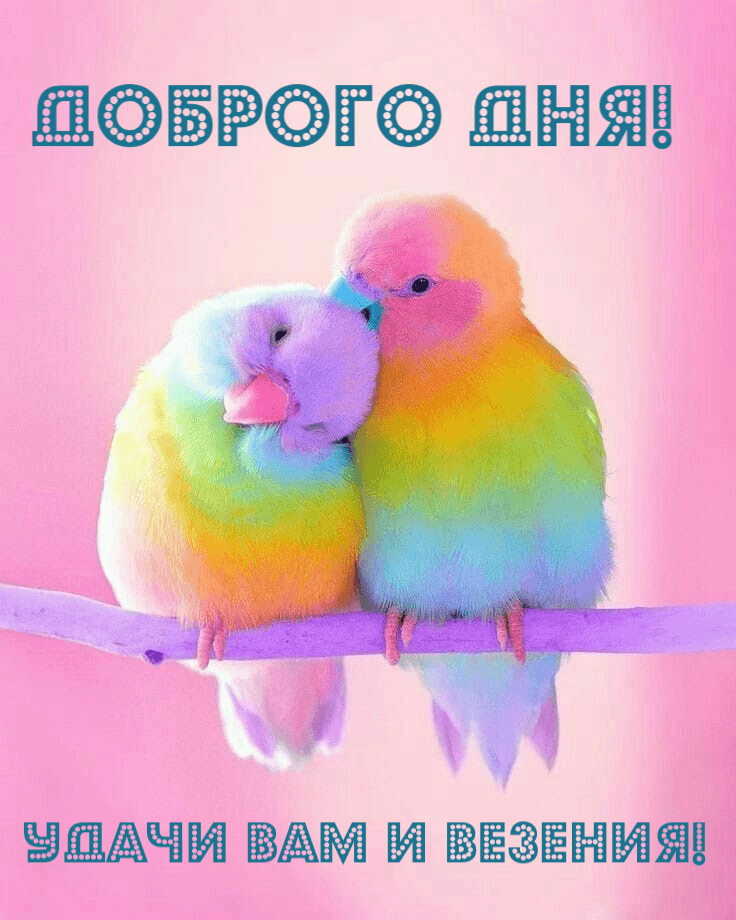 Удачи Вам и везения!