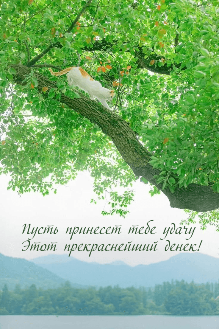 Пусть принесет тебе удачу Этот прекраснейший денек!