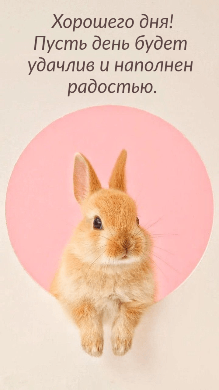 Пусть день будет  удачлив и наполнен  радостью.