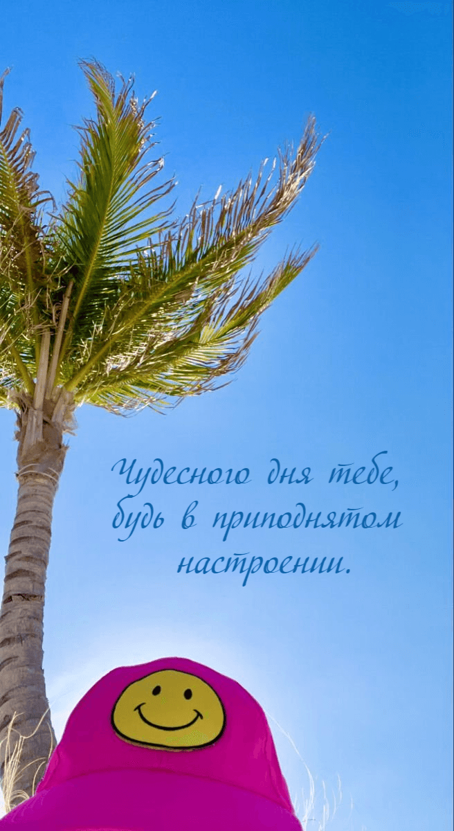 Чудесного дня тебе, будь в приподнятом настроении.