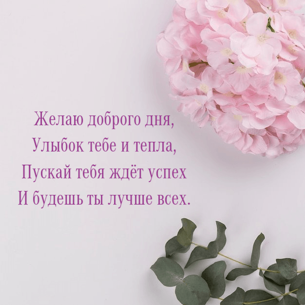 Желаю доброго дня, Улыбок тебе и тепла