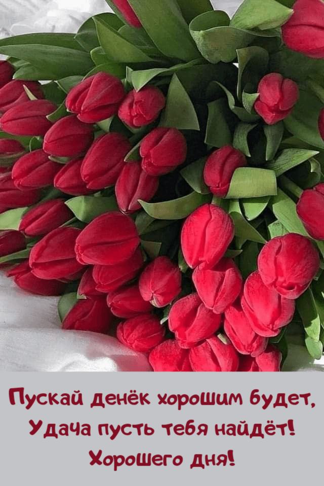 Пускай денёк хорошим будет, Удача пусть тебя найдёт! Хорошего дня!