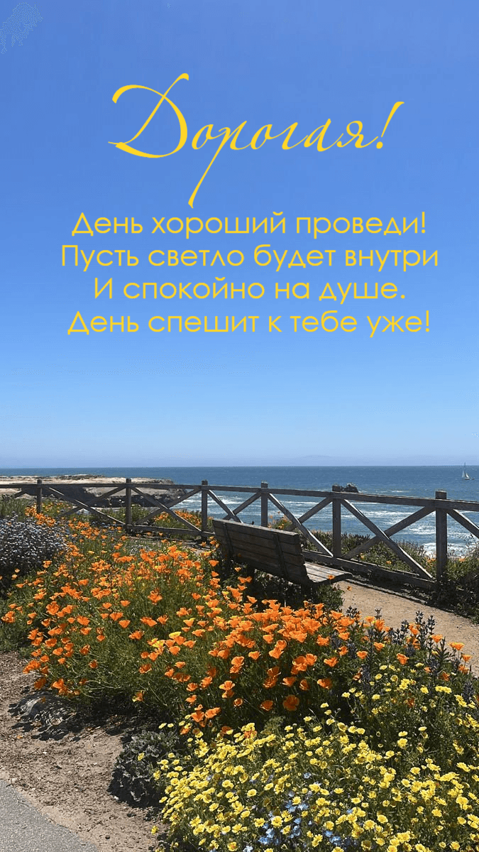День хороший проведи! Пусть светло будет внутри