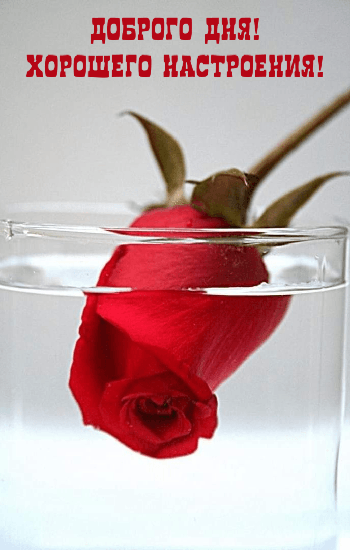 Хорошего настроения!