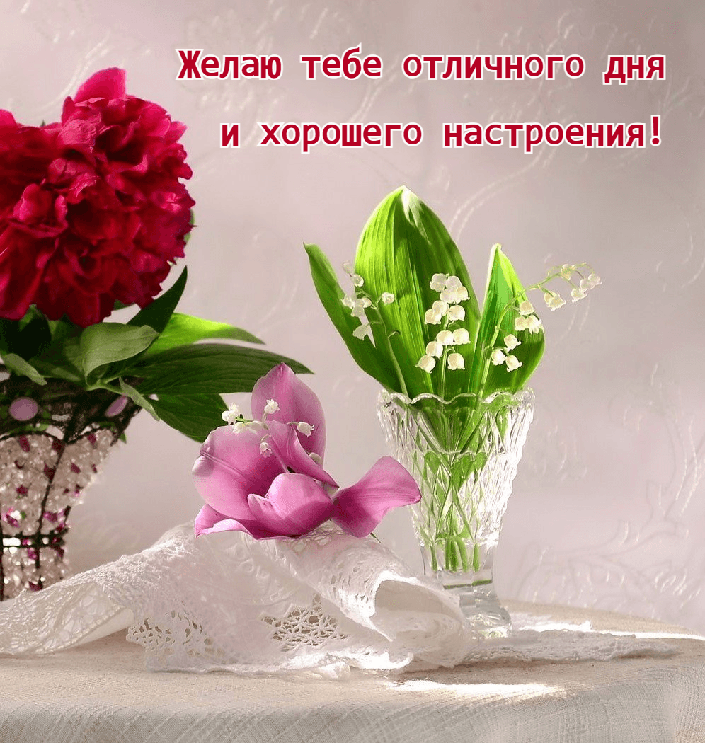 Желаю тебе отличного дня  и хорошего настроения!