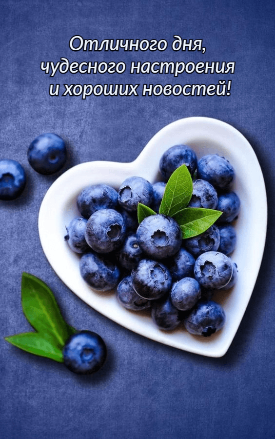 Отличного дня, чудесного настроения и хороших новостей!