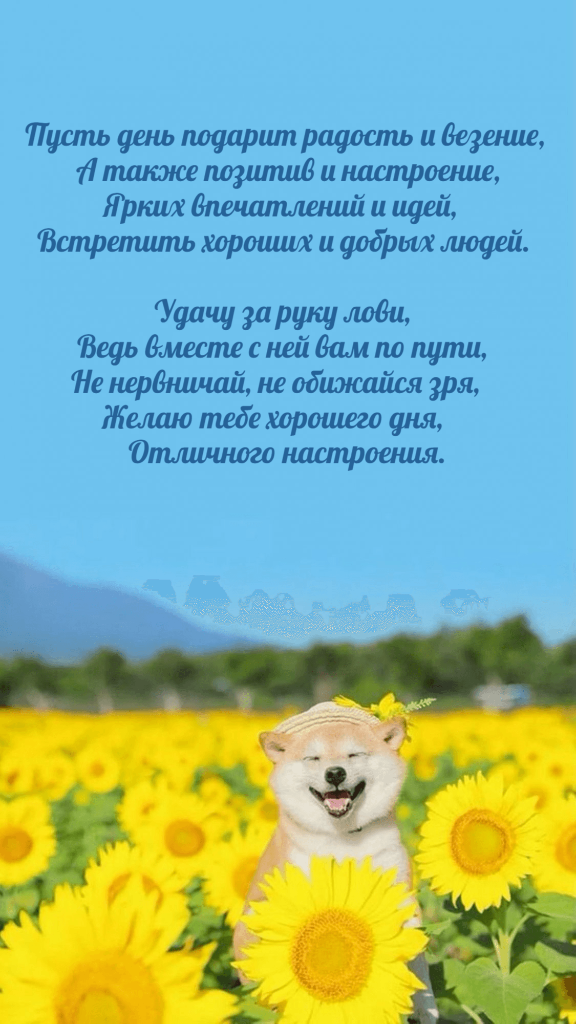 Пусть день подарит радость и везение