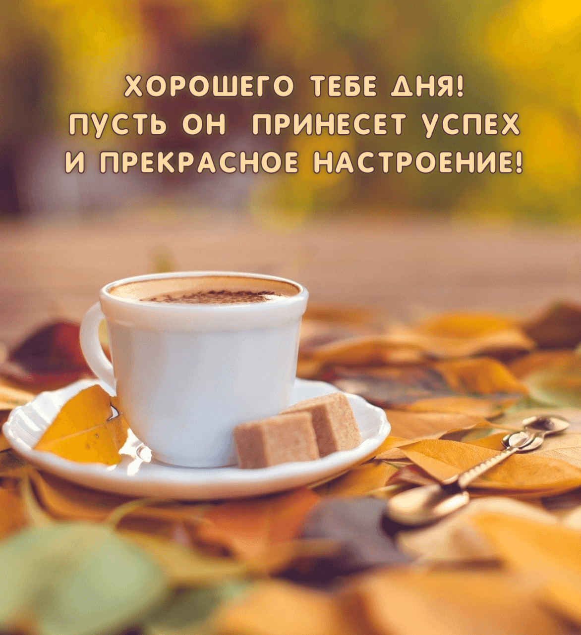 Пусть он принесет успех и прекрасное настроение!