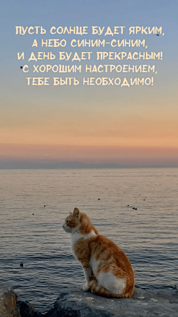 Пусть солнце будет ярким, А небо синим-синим