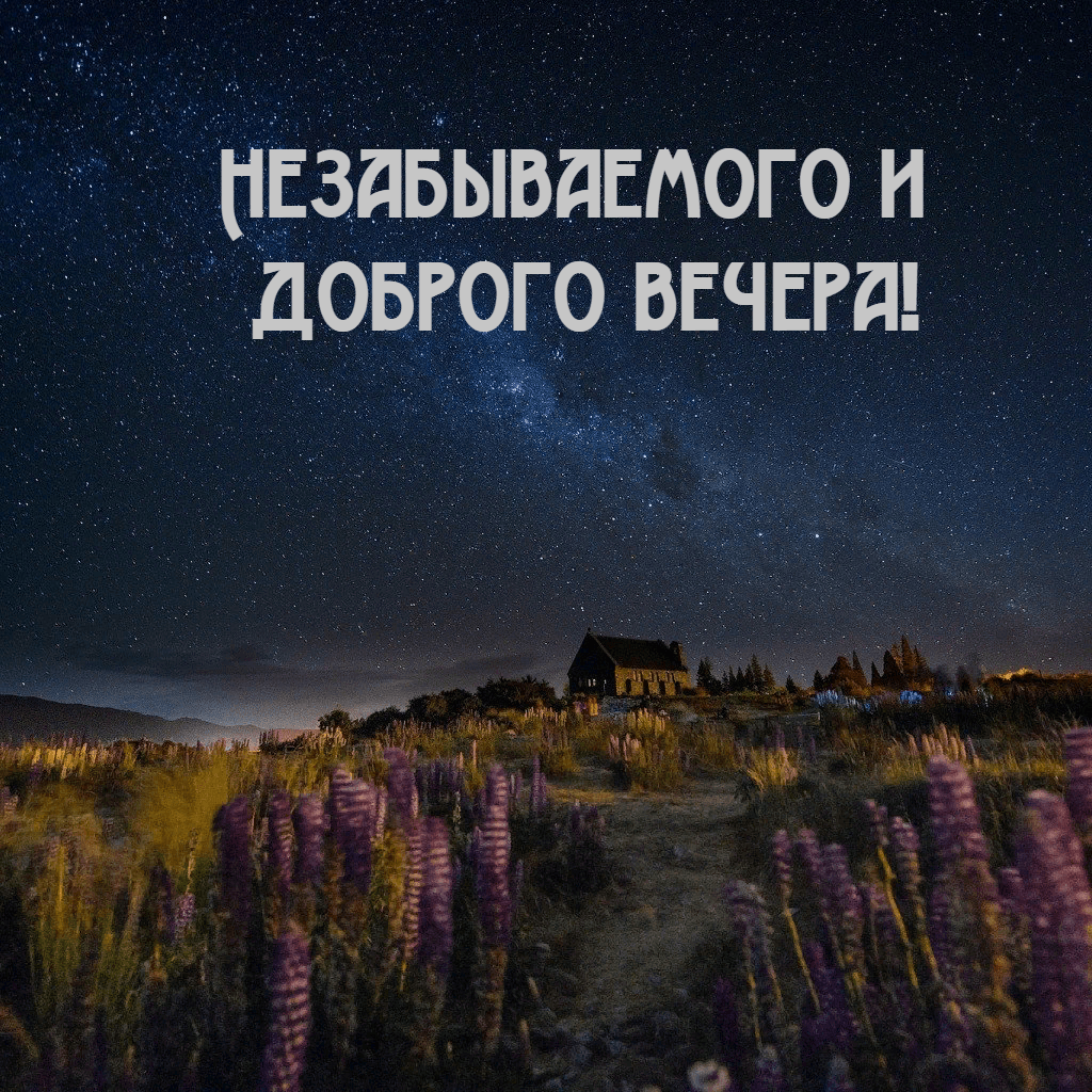 Незабываемого и доброго вечера!