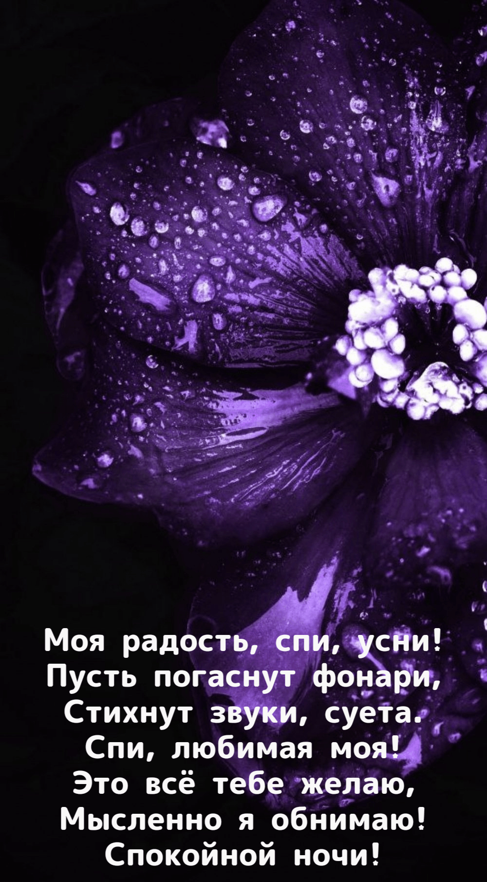 Моя радость, спи, усни! Пусть погаснут фонари