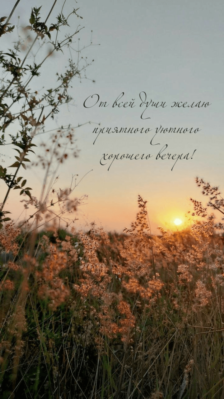 От всей души желаю приятного уютного хорошего вечера!
