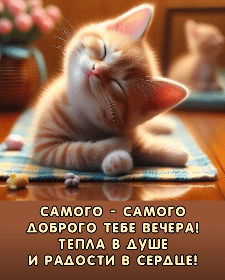 Самого - самого Доброго тебе Вечера!