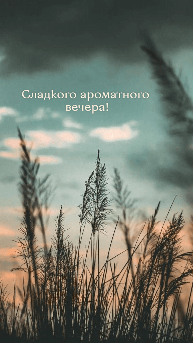 Сладкого ароматного  вечера!