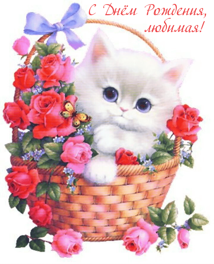 Открытках и т д. Открытки. Самые красивые открытки с благодарностью. Котенок с цветами. Кот с цветами рисунок.