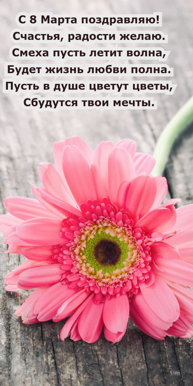 Счастья, радости желаю