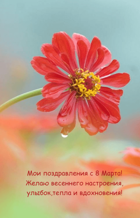 Желаю весеннего настроения, улыбок,тепла и вдохновения!