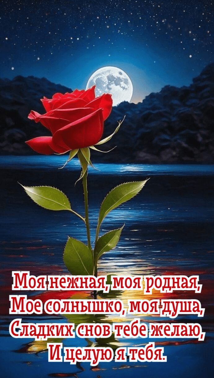 Моя нежная, моя родная, Мое солнышко, моя душа