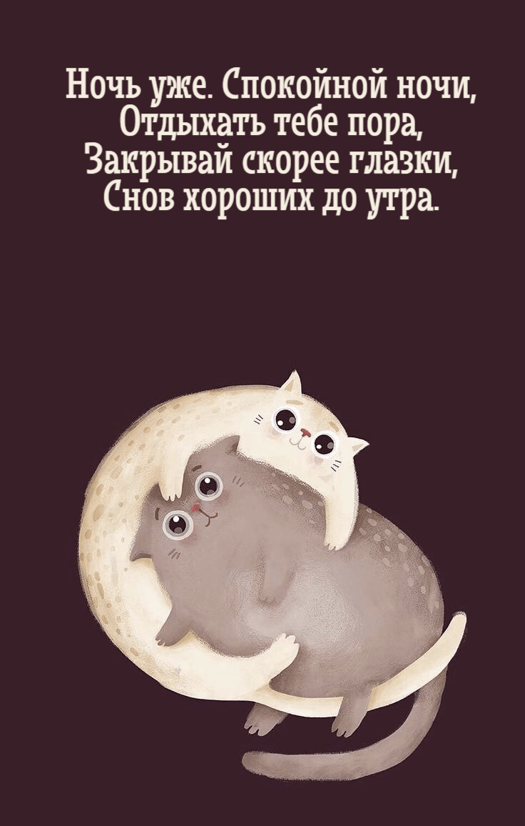 Ночь уже. Спокойной ночи, Отдыхать тебе пора, Закрывай скорее глазки, Снов хороших до утра.