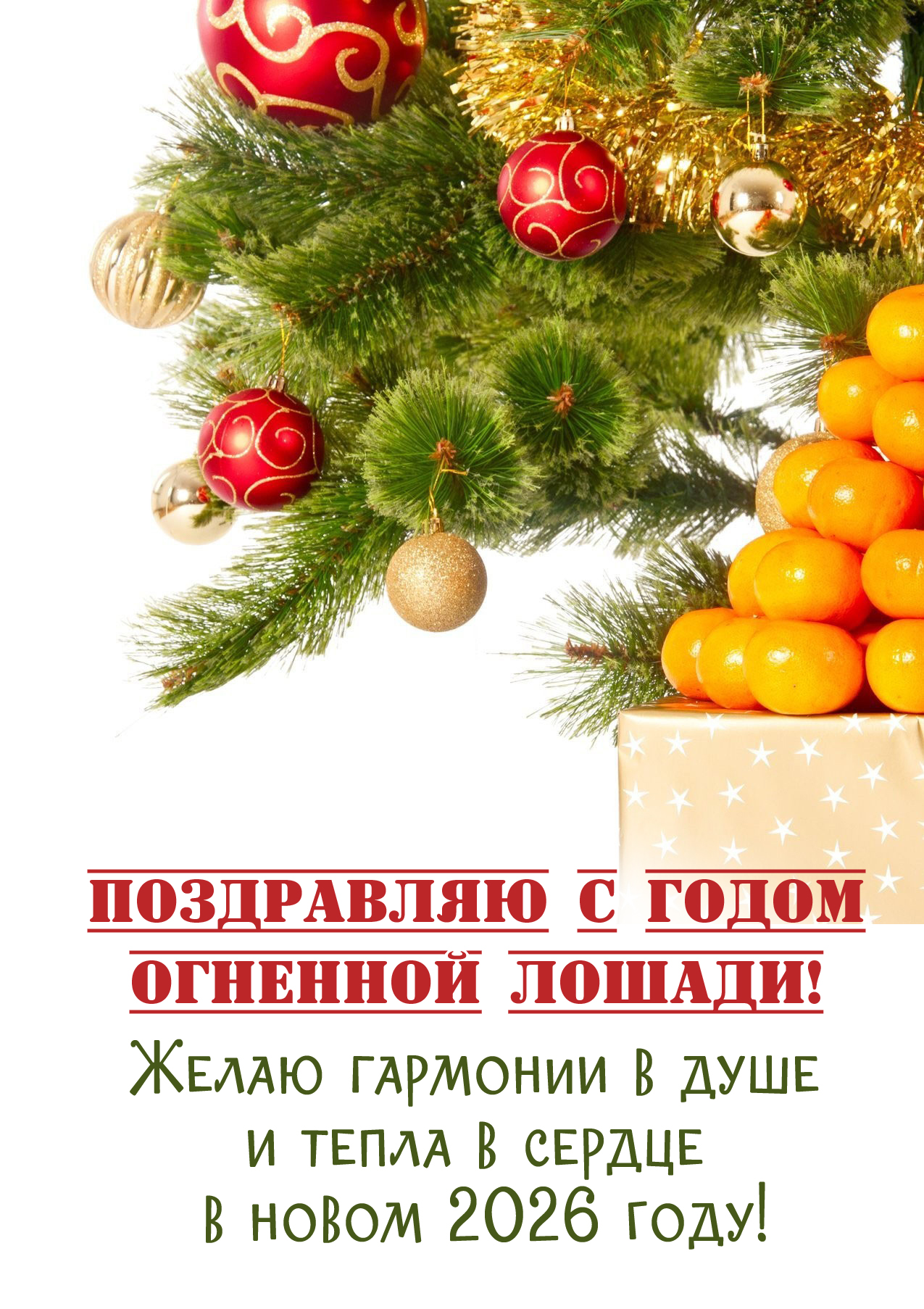 Желаю, чтобы каждый день Нового 2026 года был наполнен общением и поддержкой близких