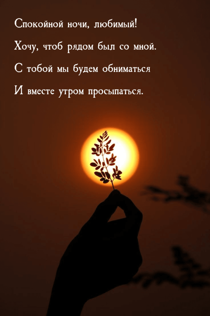 Спокойной ночи, любимый! Хочу, чтоб рядом был со мной